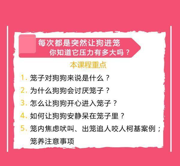 新奥门管家婆免费大全,深入解答解释落实_潮流版.2.67