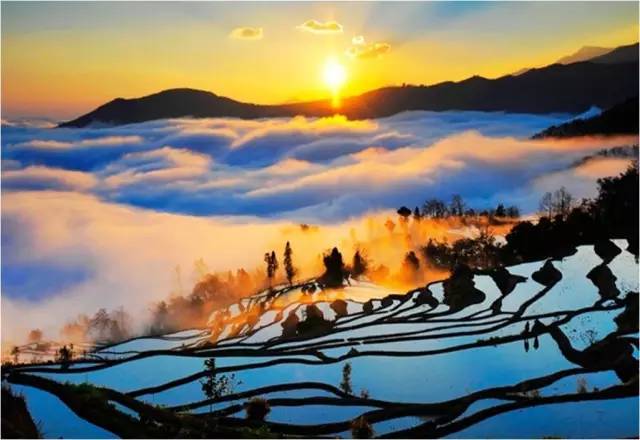 4949澳门免费资料大全特色：了解最全面的澳门资料收录，揭秘特色玩法和独家攻略!