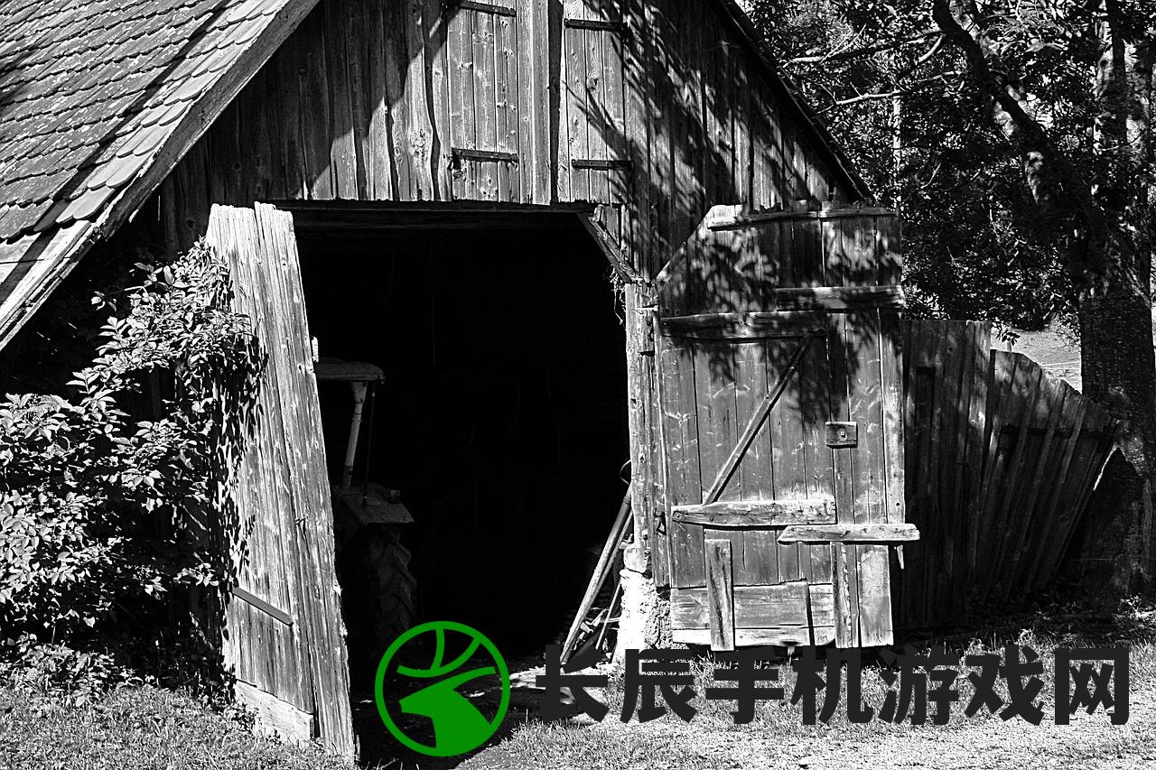 (梦想农场一农场小镇模拟经营游戏)探索乡村生活乐趣：打造梦想农场的经营游戏
