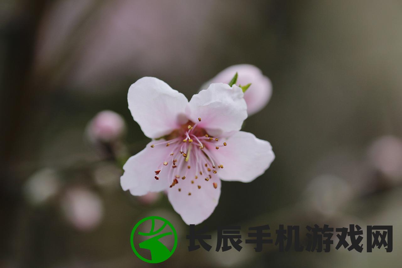 爱恋青春岁月，叶清眉李云潜小说我等你到30岁
