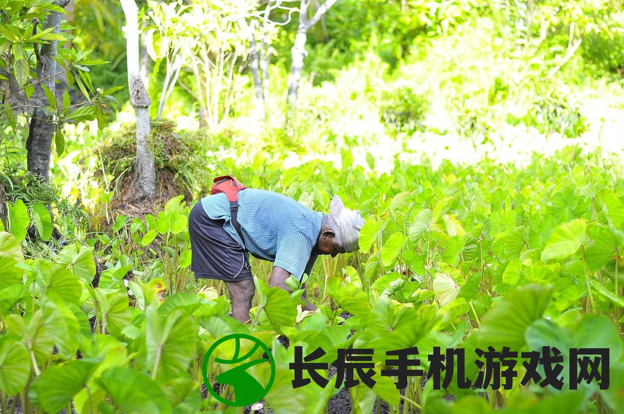 (农业种植频道)央视新闻揭秘农业种植黑科技，揭开现代种植业的神秘面纱