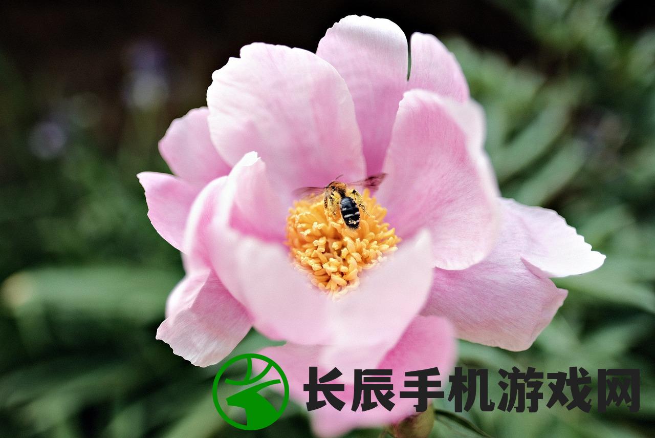 (热血江湖手游怀旧版官方)热血江湖手游怀旧版官网：重温经典，感受当年的风浪。