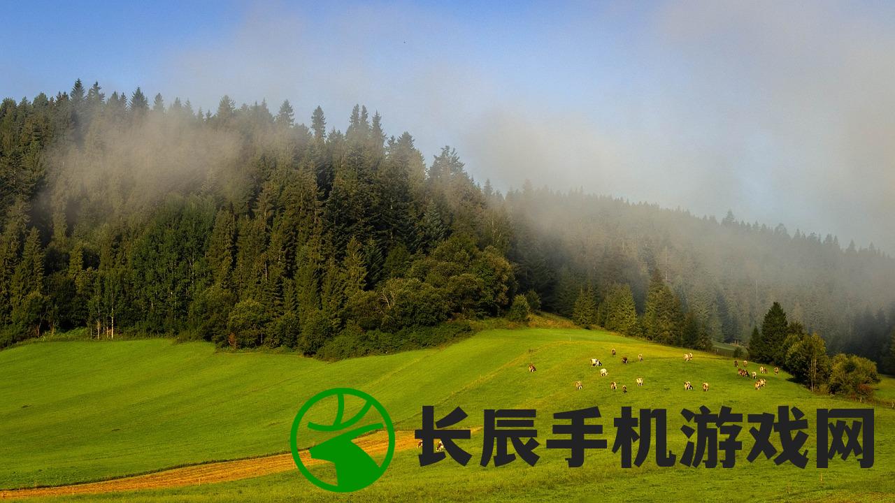 (塔瑞斯酒庄干红葡萄酒)在塔瑞斯世界找到稀有的宝藏：如何选择可靠的买金平台？