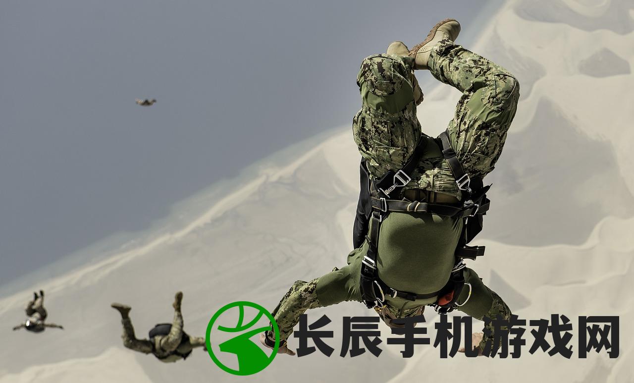 (为什么镖人武装行为会受到国家的禁止和束缚呢)为什么镖人武装行为会受到国家的禁止和束缚？