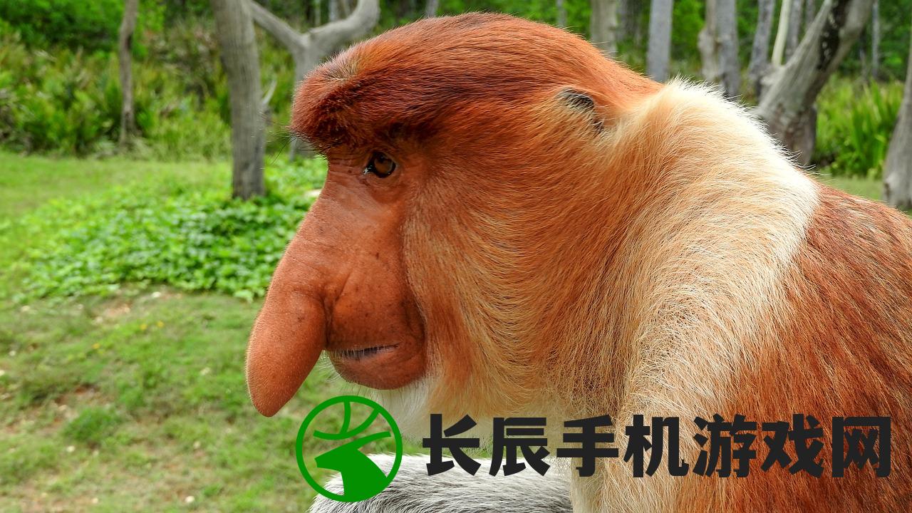 (哪个英雄在萌宠猎宝中表现最为厉害呢)哪个英雄在萌宠猎宝中表现最为厉害？