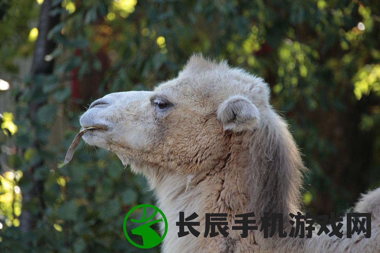 (各种动物之王)王之秘：揭秘七大神秘动物力量及其奇妙效果