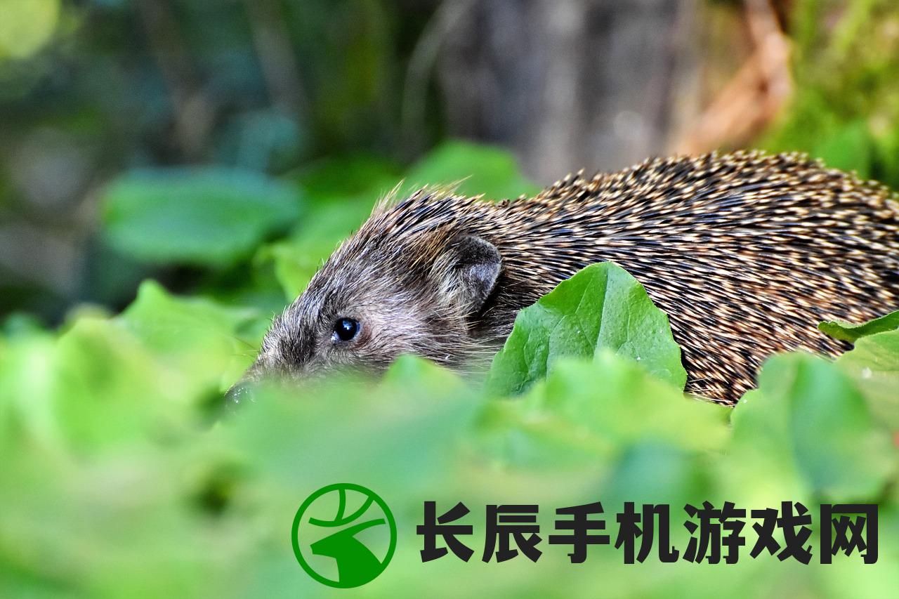 (合并动物下载)探索最新热门的动物合并游戏大全列表