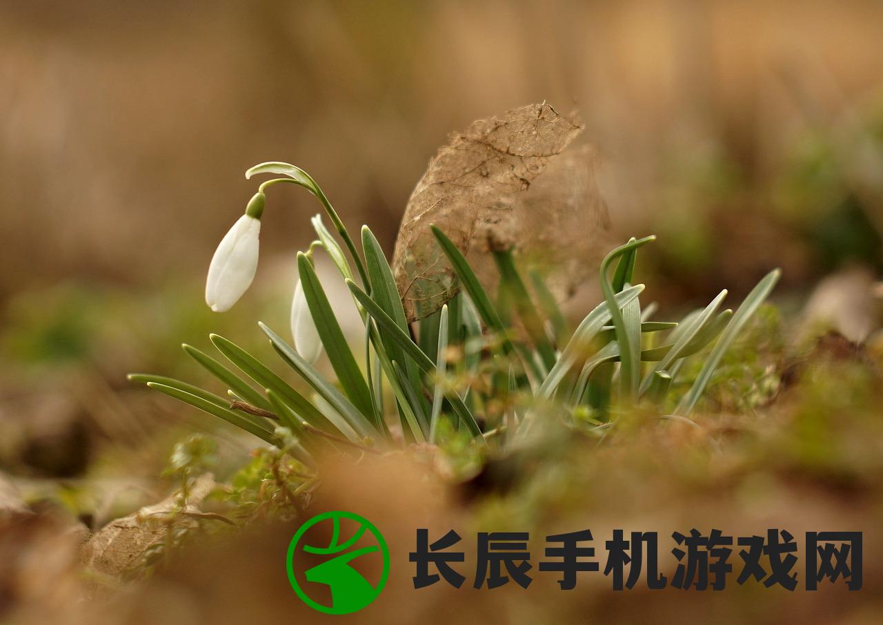 (早安我的少年1.10)早安我的少年十个小秘密：揭开青春岁月的神秘面纱