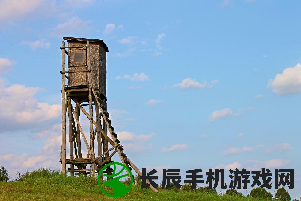 (边际猎手)边际猎人2024年预估价格：市场专家揭秘未来价格走势!