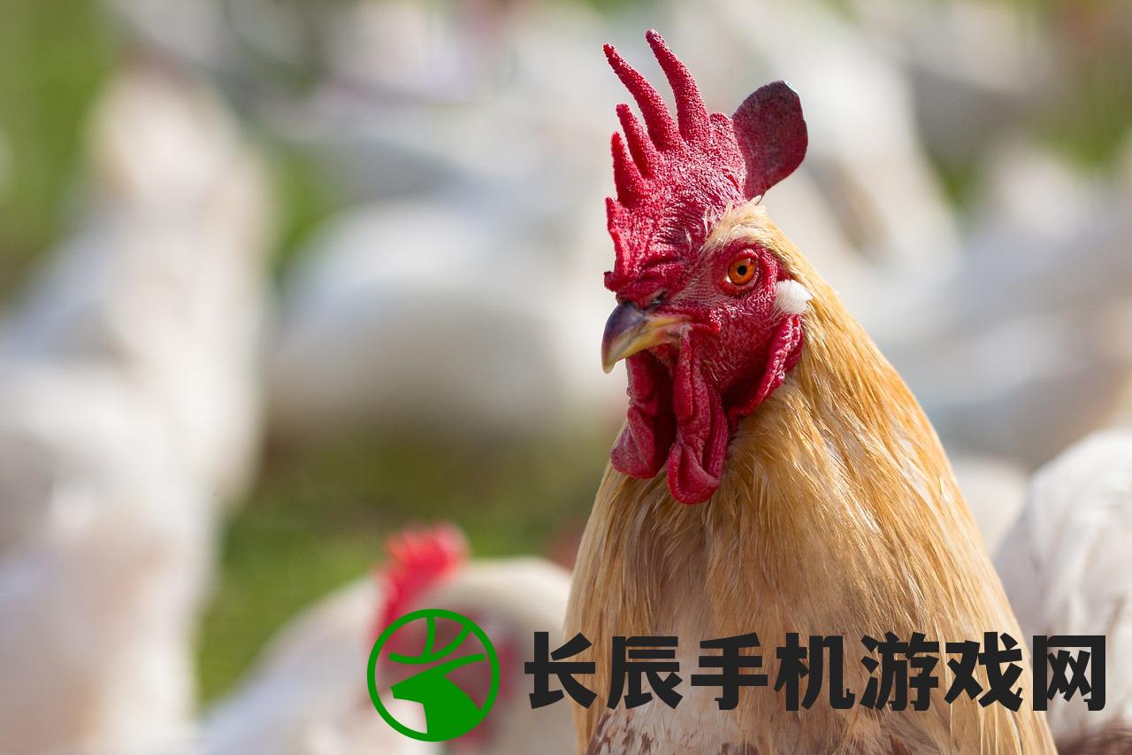 (乌合之众是指生肖什么动物)乌合之众：十二生肖代表的人群特征及命运预测