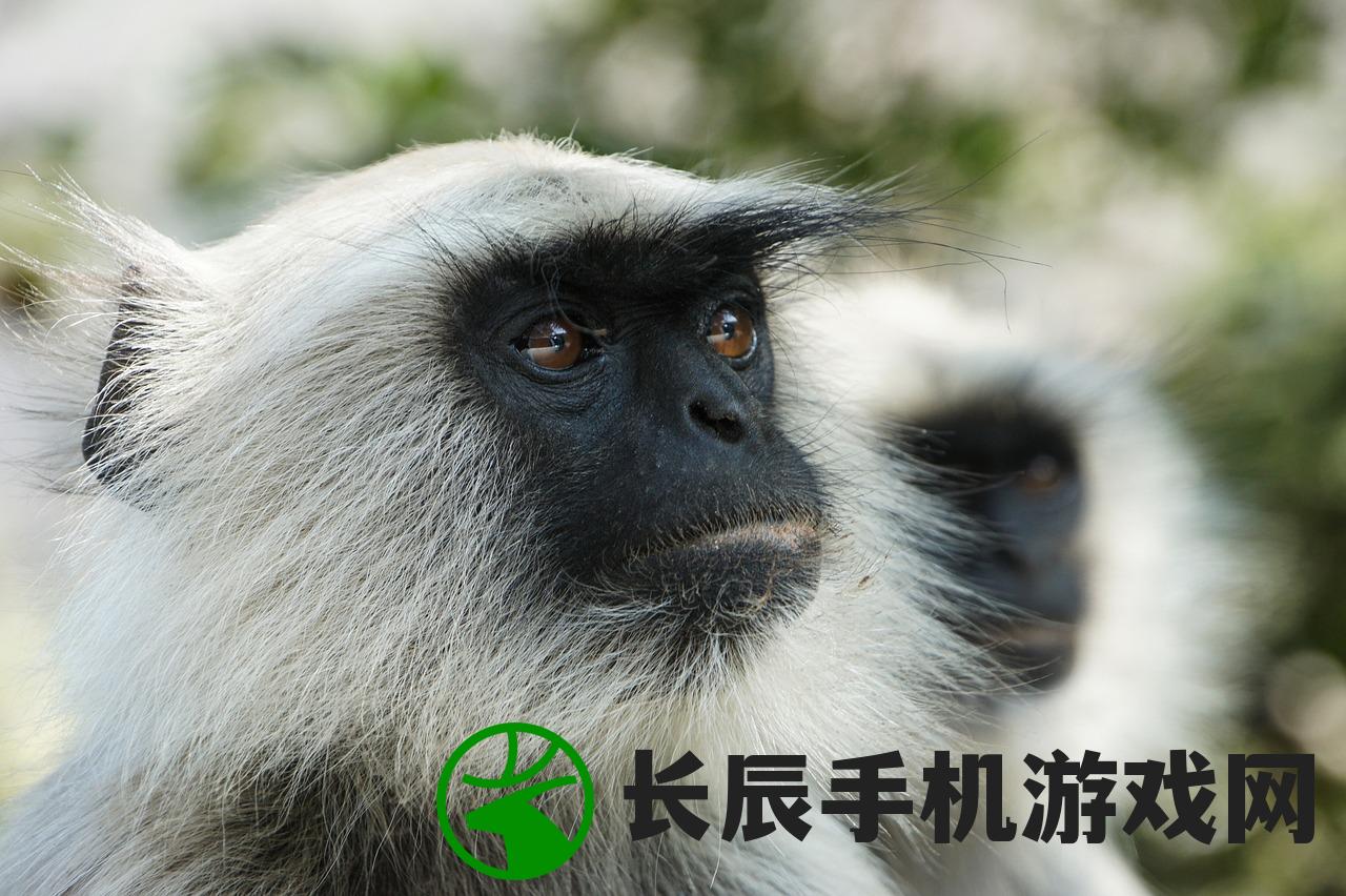 (乌合之众是指生肖什么动物)乌合之众：十二生肖代表的人群特征及命运预测
