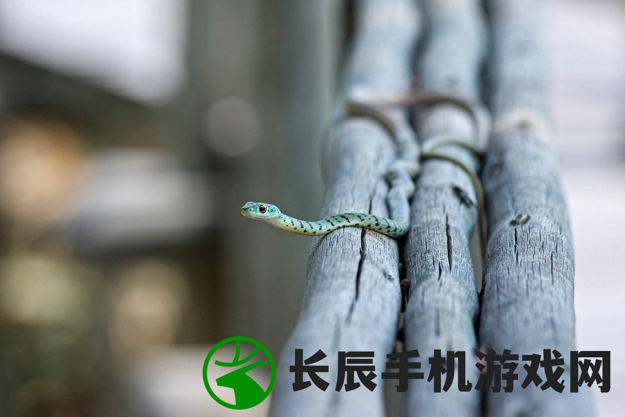 (晴雅集最后祸蛇怎么了)晴雅集最后祸蛇去哪里了？离奇消失引发蛇迷猜想