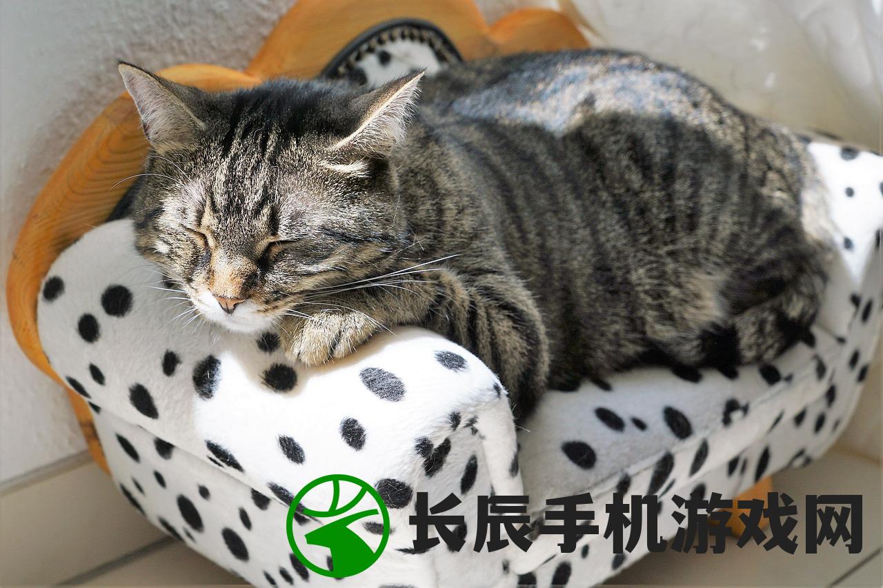 (山东有没有野生老虎)山东是否有野生老虎？探讨山东境内野生老虎的存在与传闻