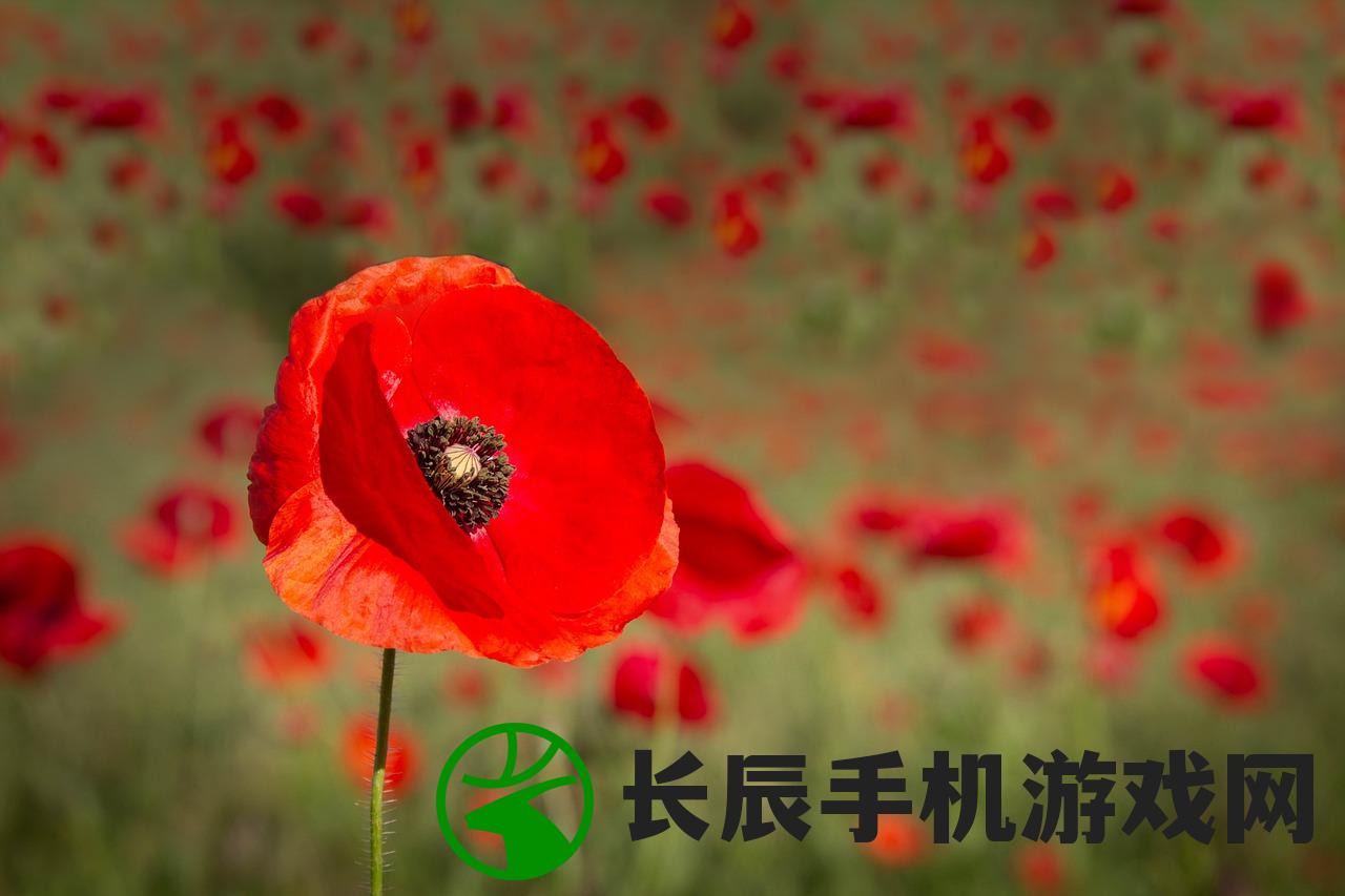 (晚遇的含义)“探寻晚遇的深层寓意与象征意义”