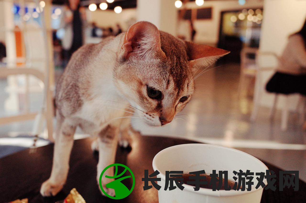 (猫语咖啡老版本)探索旧版猫语咖啡：还保有玩味的魅力吗？