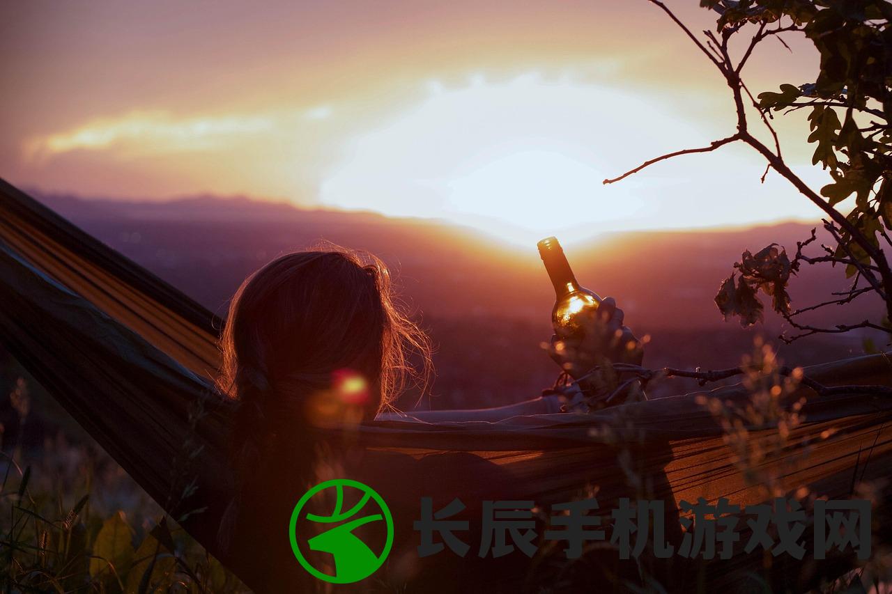 (三国志卷三十五)三国志第35卷，历史深度与多维视角的解读