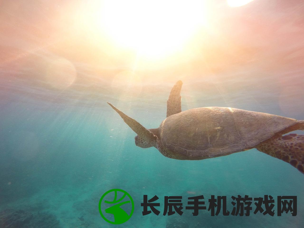 (倚天屠龙记2阴阳圣火令)甄子丹版倚天屠龙记，武侠电影的全新演绎