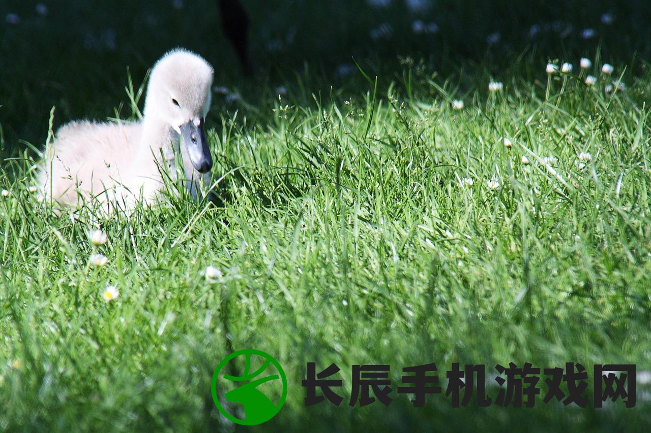 (兔宝世界动画片在哪里看)兔宝世界，一部充满魅力的动画片