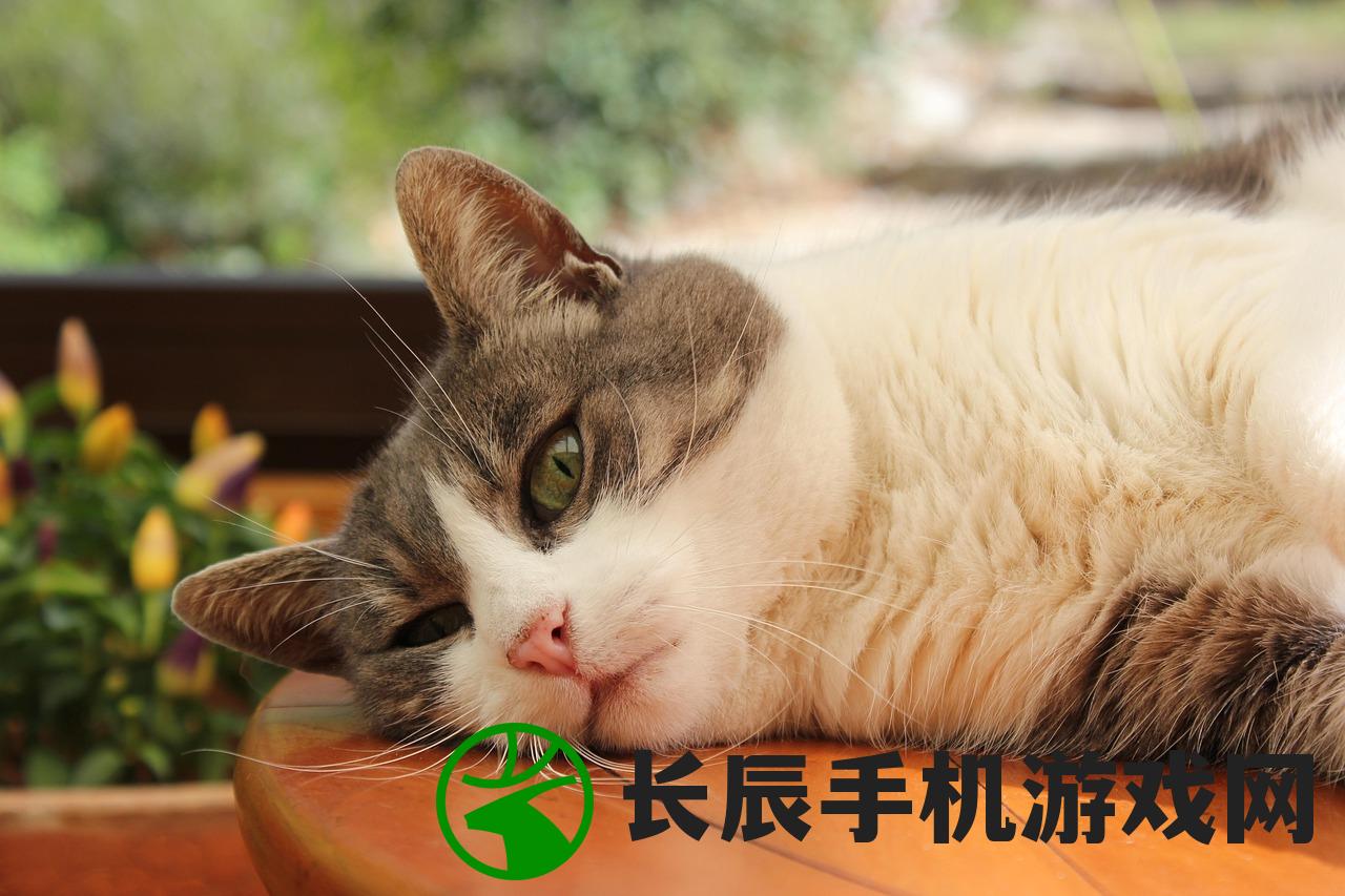 (熊猫人刘三根搞笑鬼片)熊猫人刘三根，一位融合传统与现代魅力的文化符号