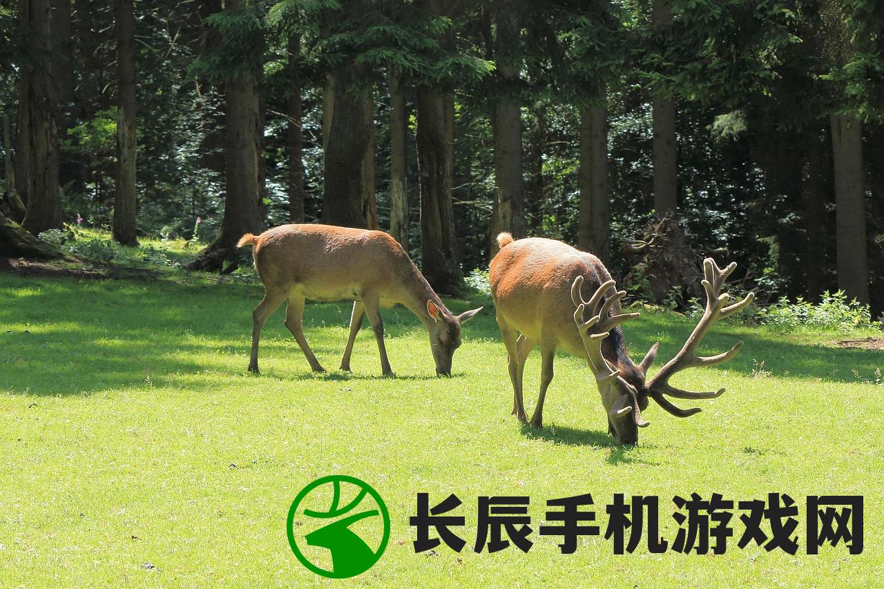 (非常普通的鹿正版手游下载)非常普通的鹿正版手游，探索独特游戏世界