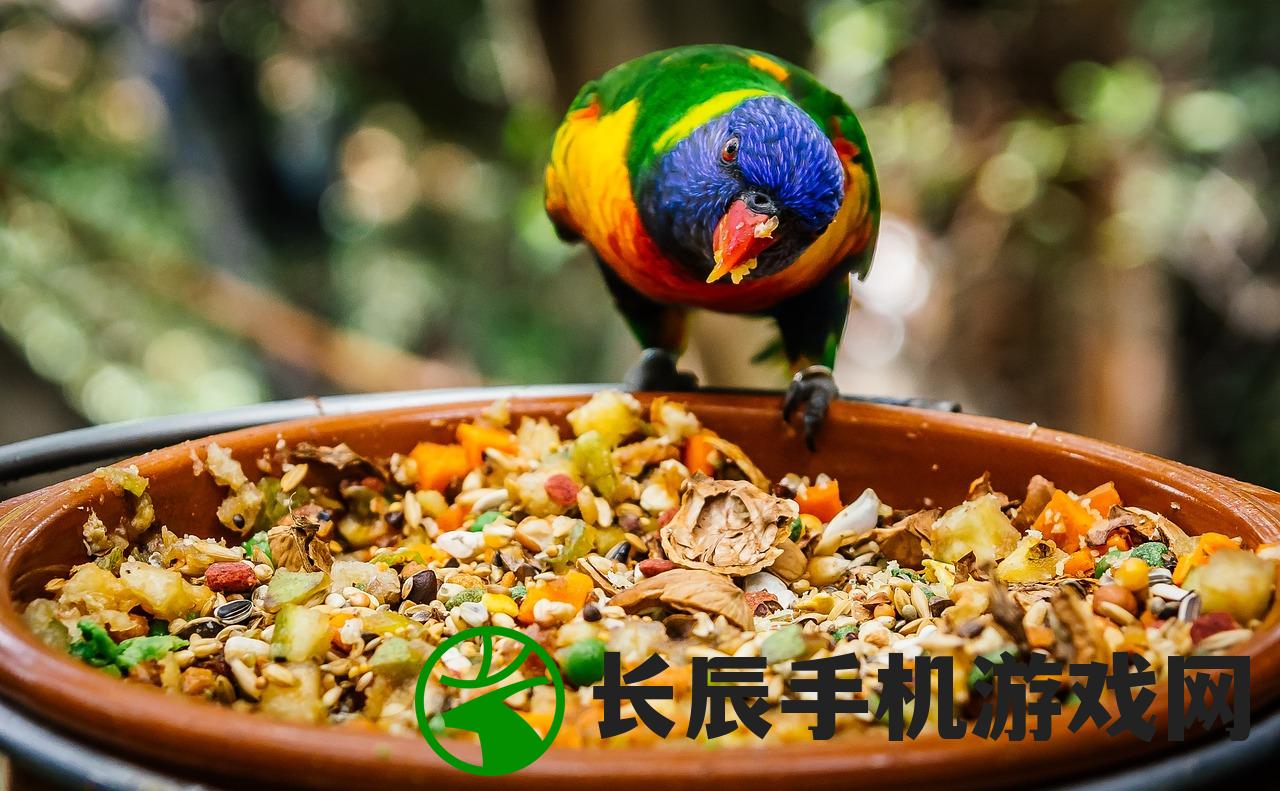 (美食小当家2024破解版)美食小当家2024，探索美食之旅的新篇章
