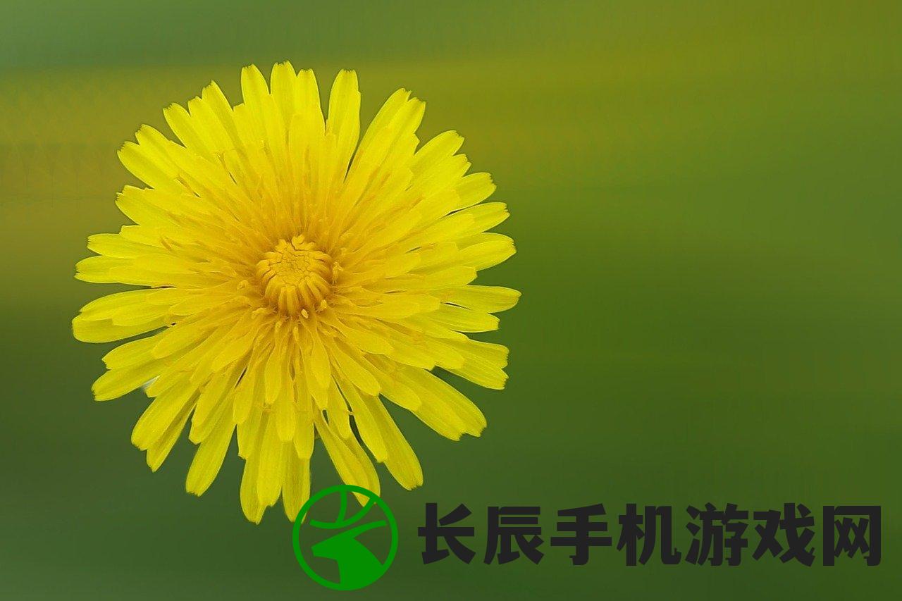 (战火勋章阵容搭配推荐)战火勋章，最佳阵容搭配策略