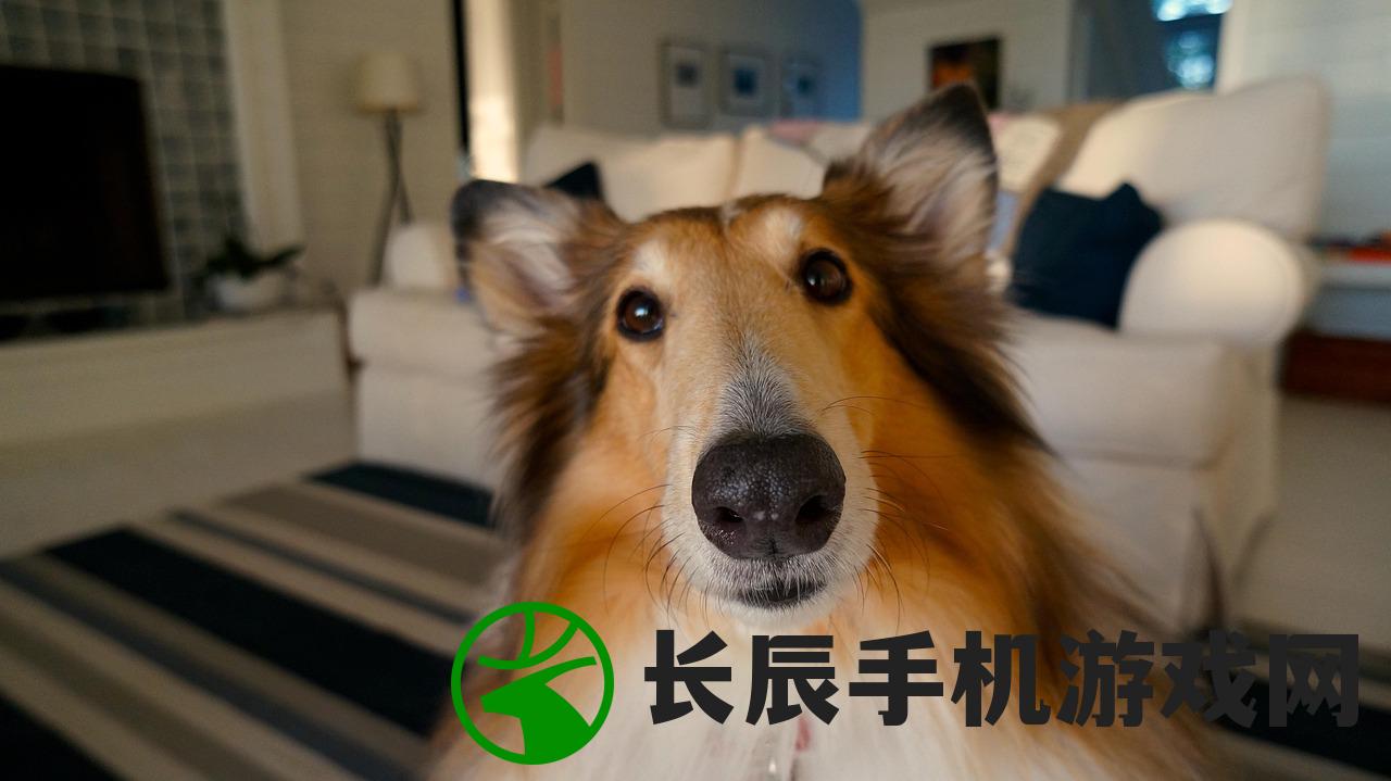 (诸子百家是指我国先秦到汉初各学派的代表人物及其著作)诸子百家是指及其思想深度与影响