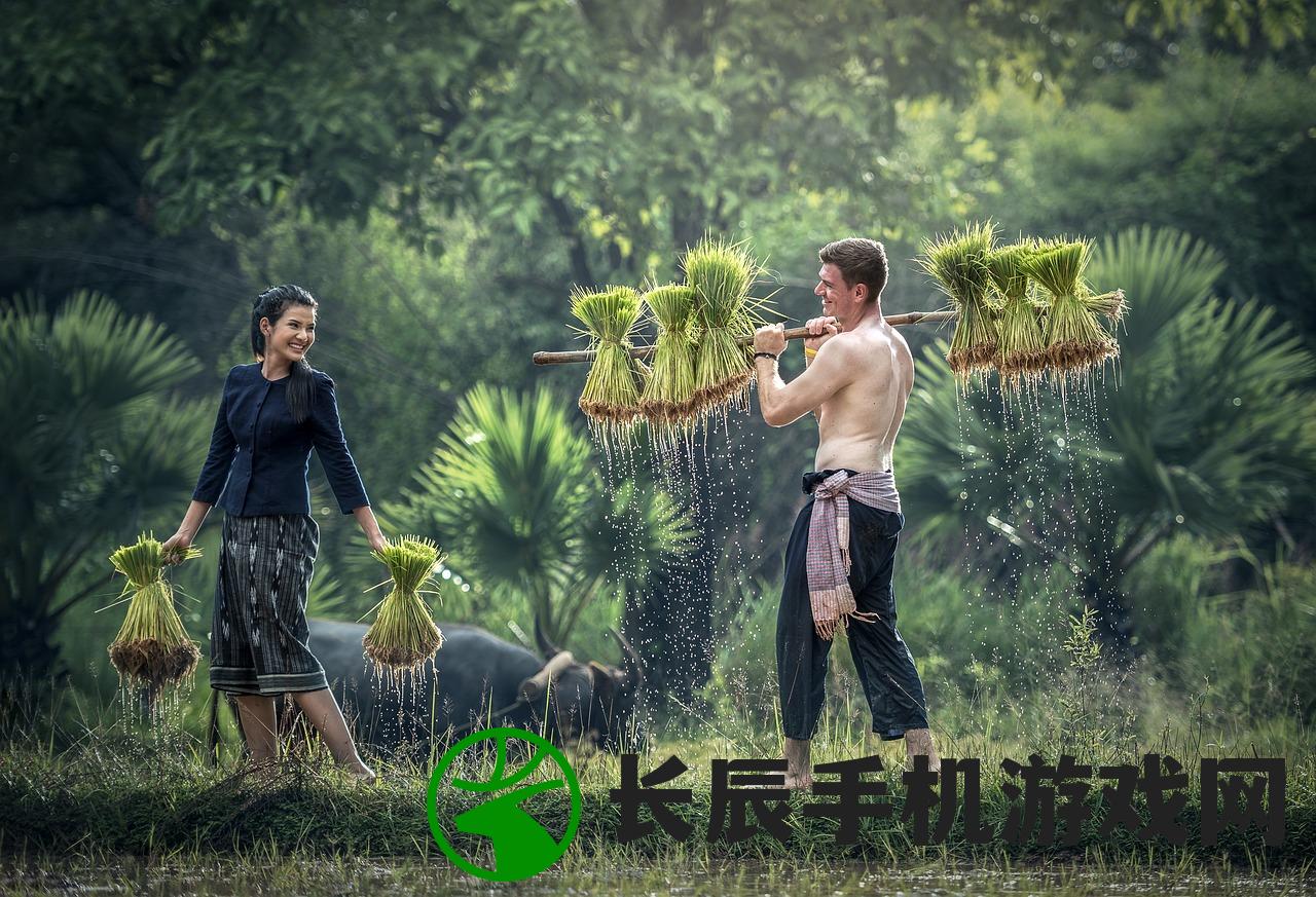 (熊熊精英游戏)熊熊精英，游戏魅力与独特之处