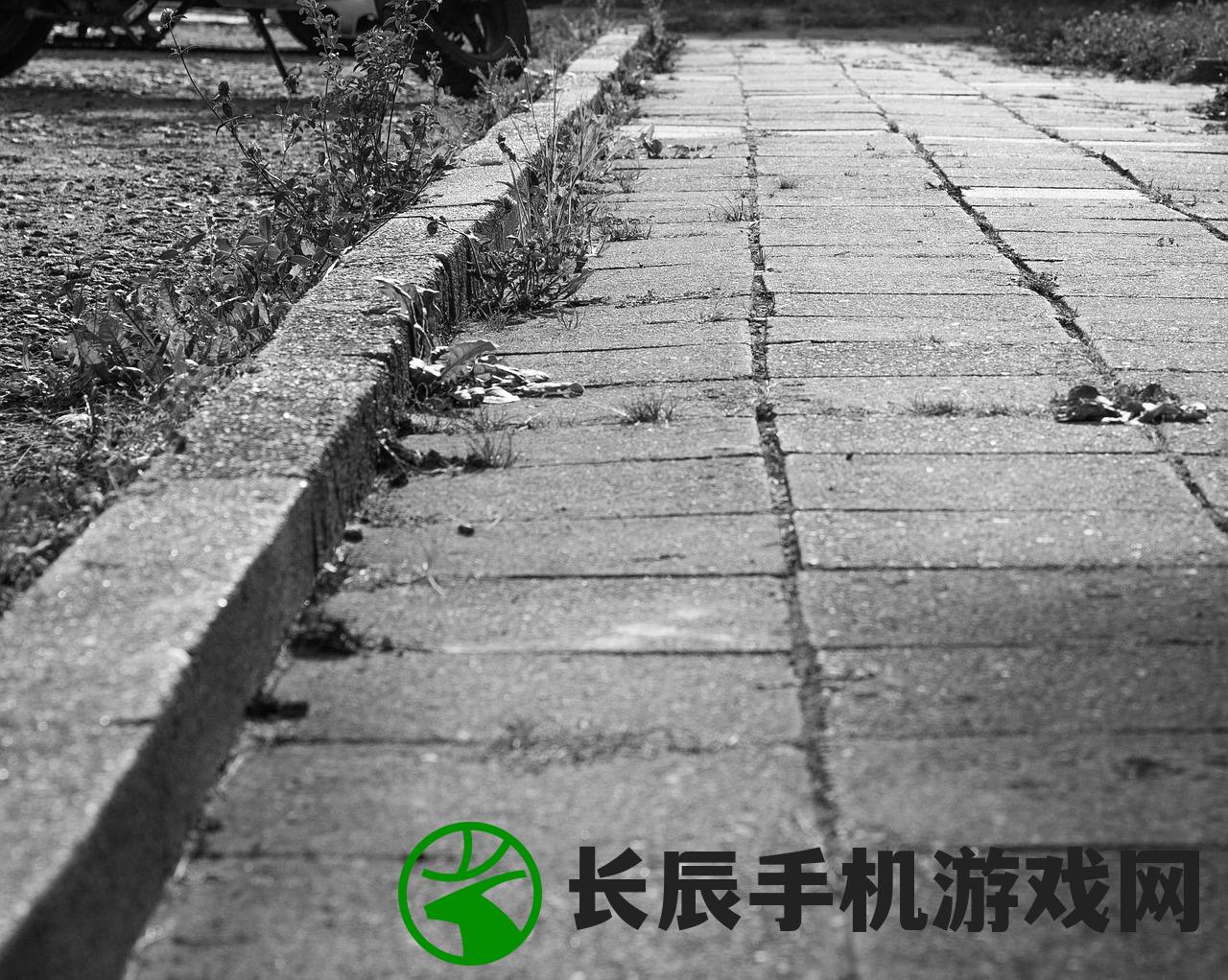(寻光之旅排雷攻略)寻光之旅，删除账号后是否依然存在的探讨