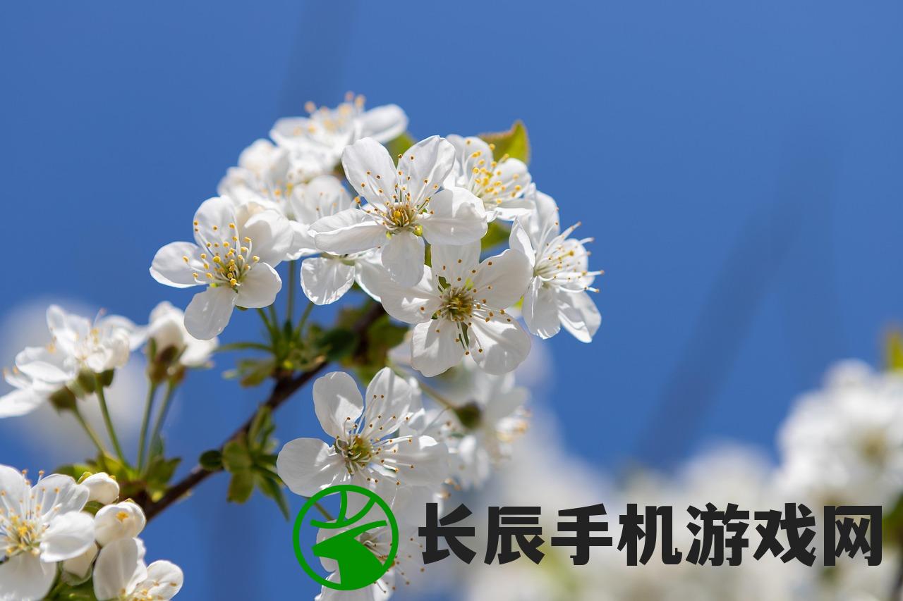 (人闲桂花落闲字好在哪里)人闲桂花落，静谧时光下的自然之美与人文思考