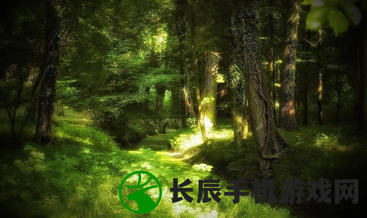 (小小城堡游戏全部免费解锁无广告)小小城堡游戏，探索与冒险的梦幻之地
