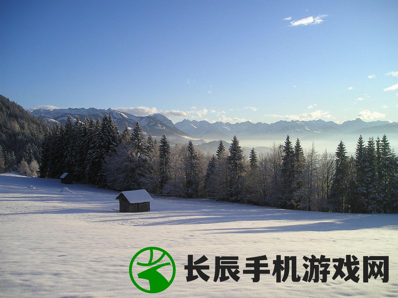 (幽幽森林什么意思)探寻神秘而富有生机的幽幽森林