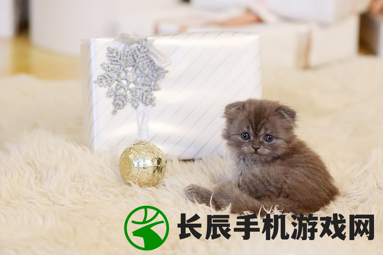 (达猫小分队礼包码大全)达猫小分队爪游宝最新更新内容解析及常见问题解答