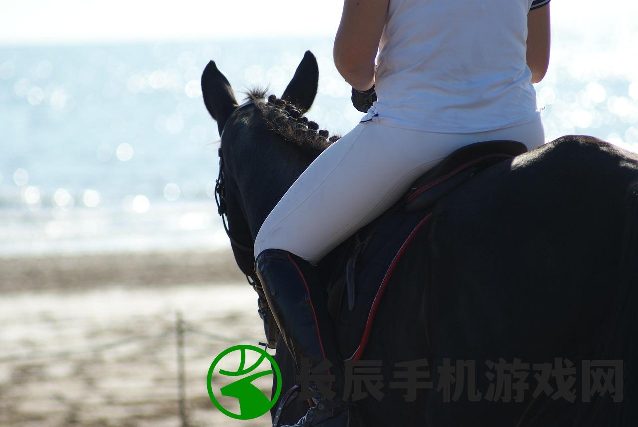 (名将之路怎么就上一人一阵)名将之路，为何只能一人独领风骚？