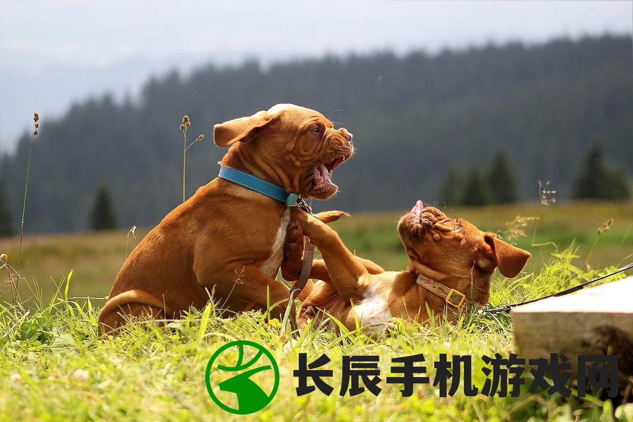 (萌宠大乱斗无限内购版本下载)萌宠大乱斗无限内购版，深度游戏分析与常见问题解答