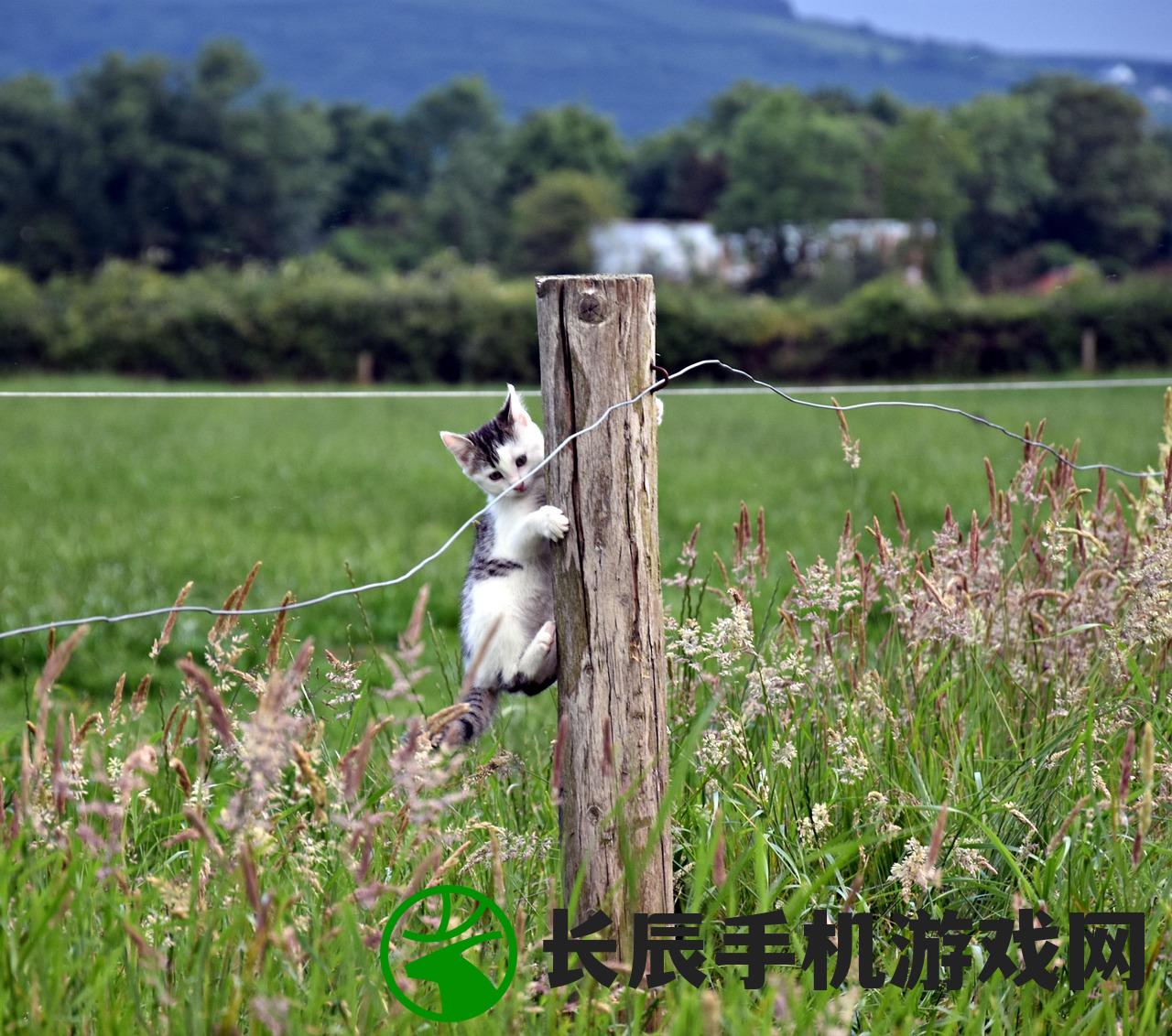 (带有多多成语AABB)带有多多的成语世界，丰富多样的人生百态