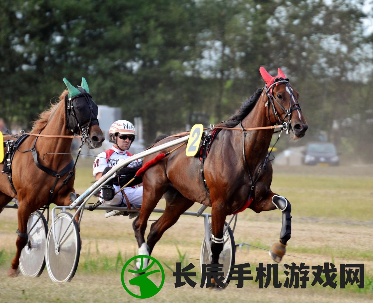 (骑马技能)骑马与施法攻略，全方位指南助你成为游戏大师