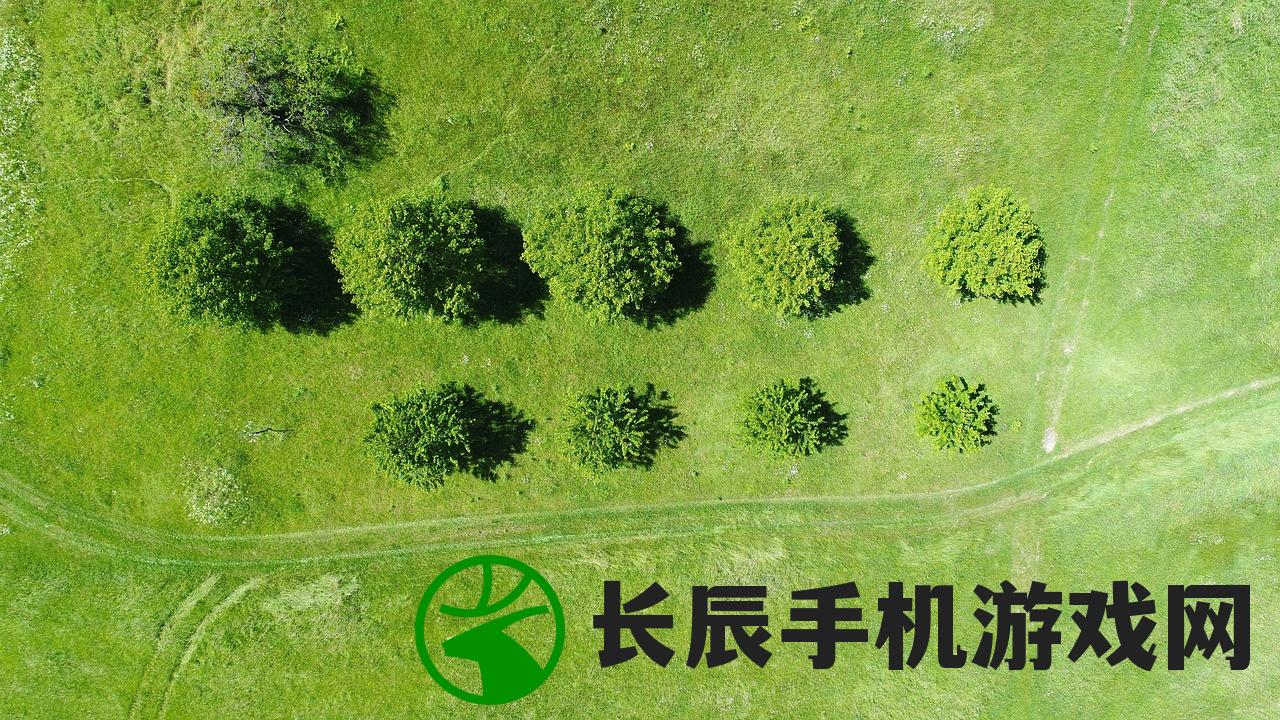 (棋盘之战)棋盘战争游戏，策略与战术的较量