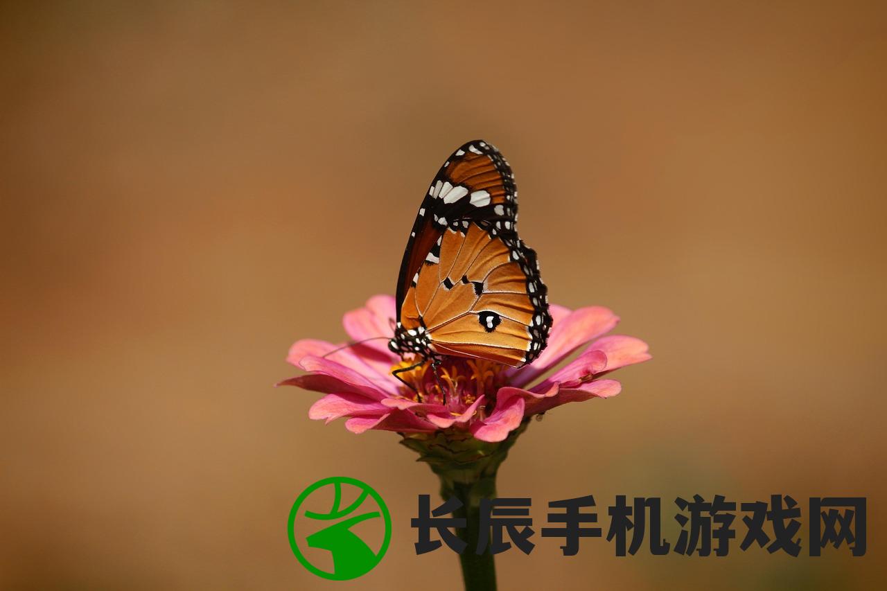 (花亦山心之月人物图鉴ur)花亦山心之月，全面人物图鉴及深度解析