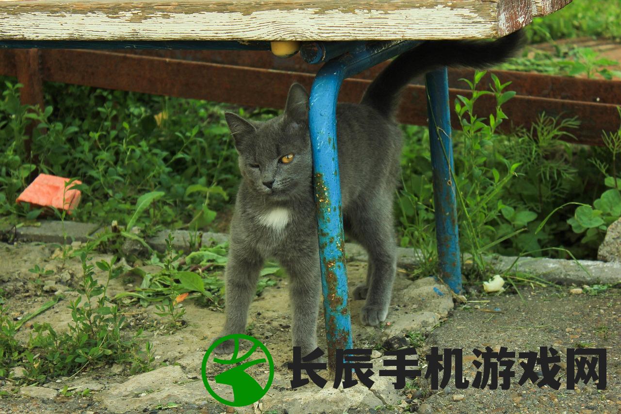 (猫咪确解版)猫咪解忧铺手机版，一站式猫咪服务，你的移动宠物生活指南