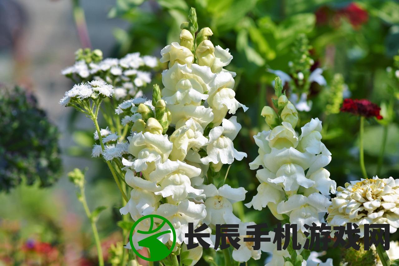 (时间花园植物形态三解锁)时间花园中的植物，生长、变化与探索