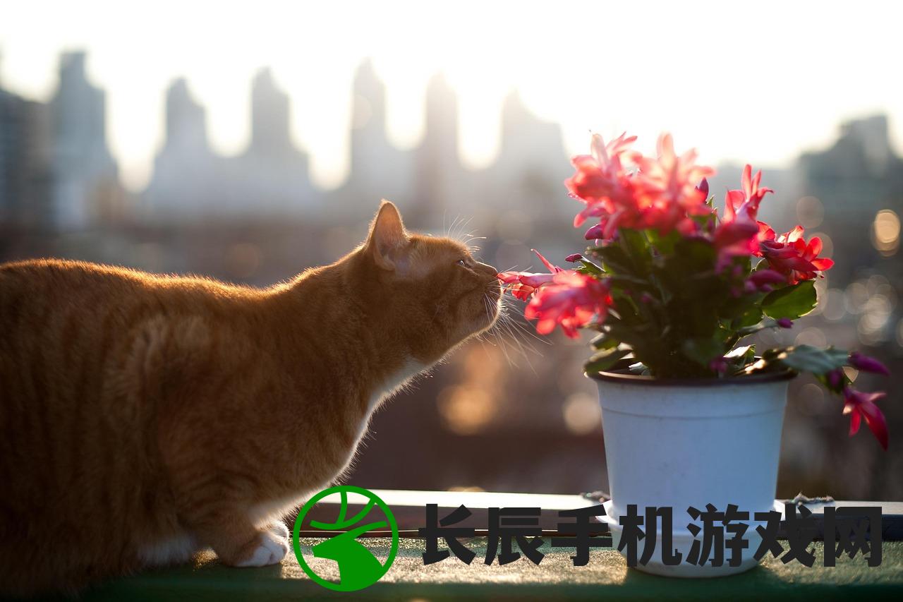 (猫咪农场模拟经营游戏名字叫什么)猫咪农场模拟器，无限金币的奇幻之旅