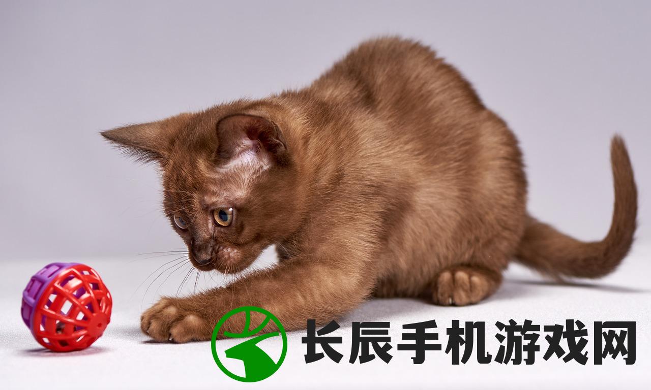 (猫咪农场模拟经营游戏名字叫什么)猫咪农场模拟器，无限金币的奇幻之旅