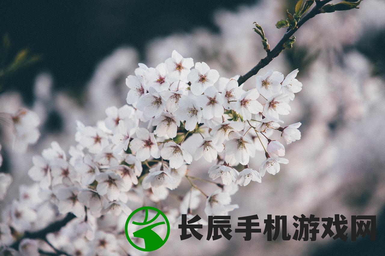 (三生三世十里桃花第一季全集在线观看)三生三世十里桃花第一季全集，深度解析与常见问题解答