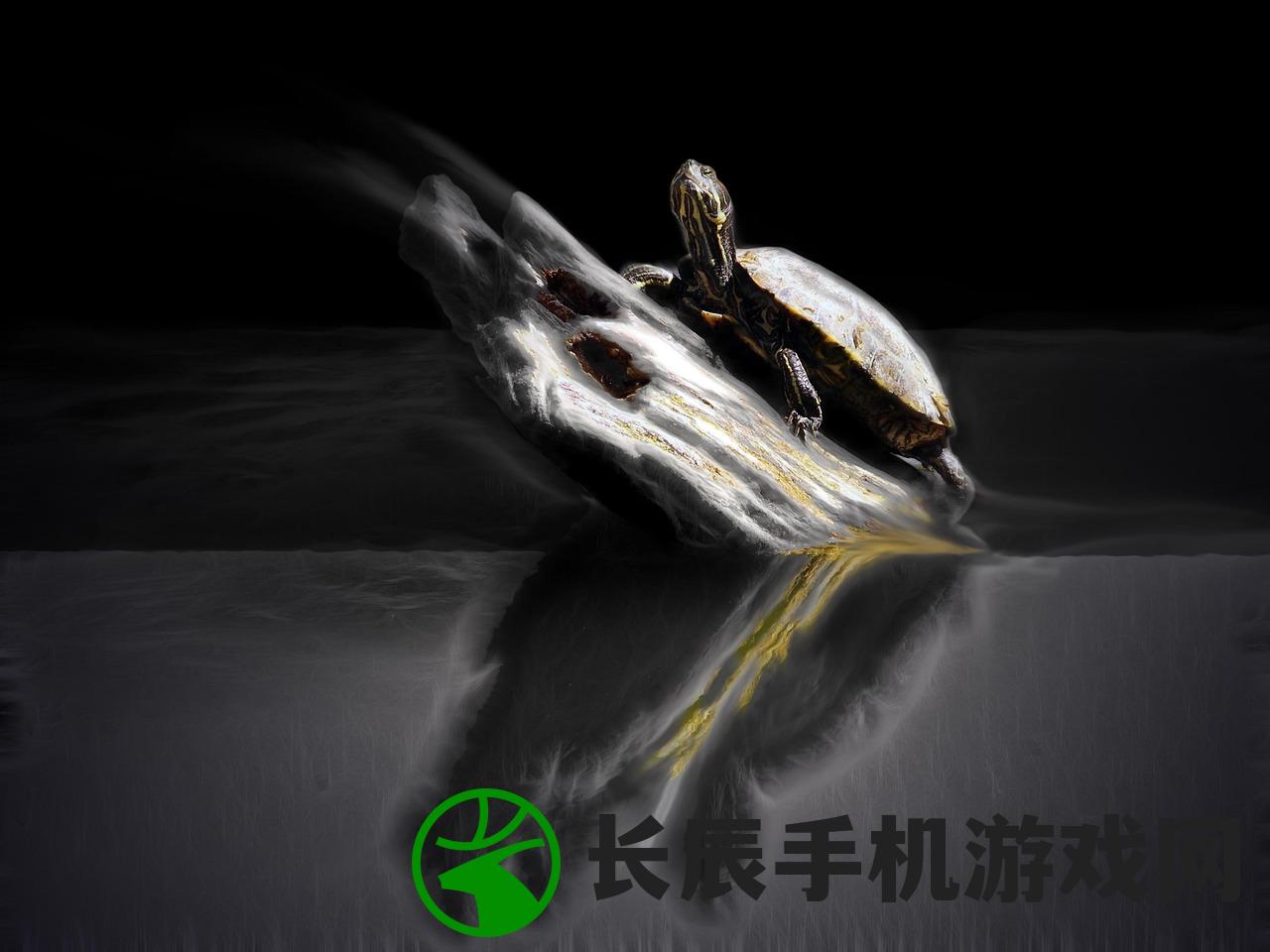 (凶狠的怪物电影)凶狠的怪物，神秘与恐怖的交织