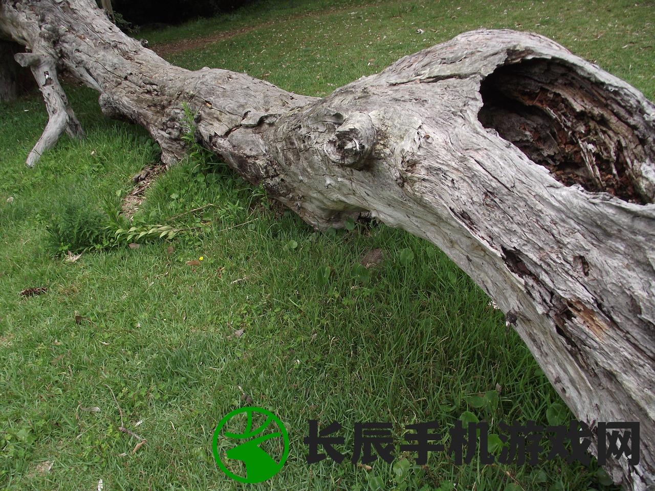 (疯狂动物城筑梦日记破解版下载安装)疯狂动物城筑梦日记Boss战，挑战与冒险的巅峰对决