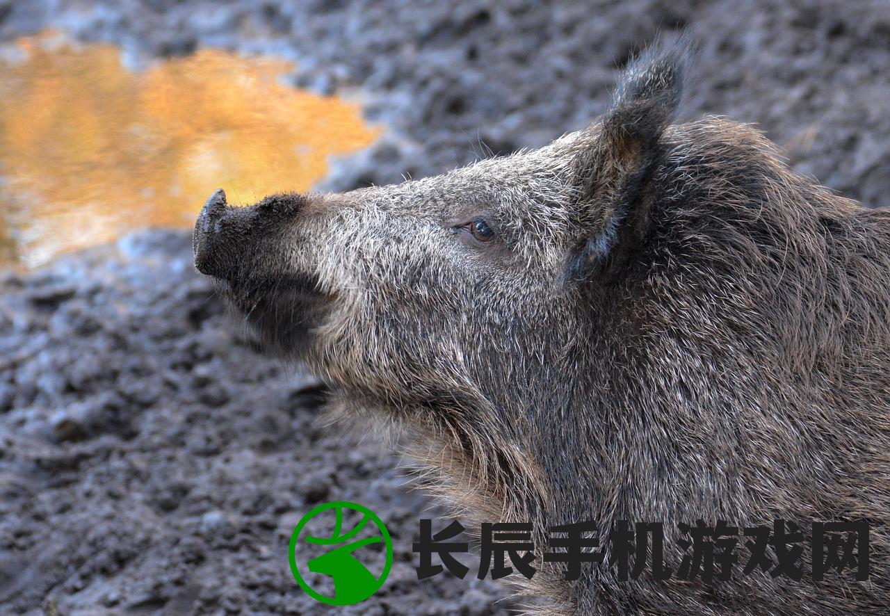 (疯狂动物城筑梦日记破解版下载安装)疯狂动物城筑梦日记Boss战，挑战与冒险的巅峰对决
