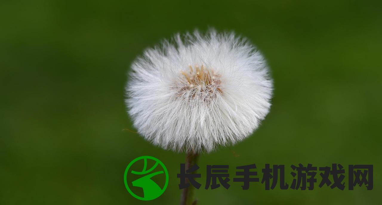 (平凡的世界经典语录句子及感悟)平凡的世界经典语录句子深度解读与启示