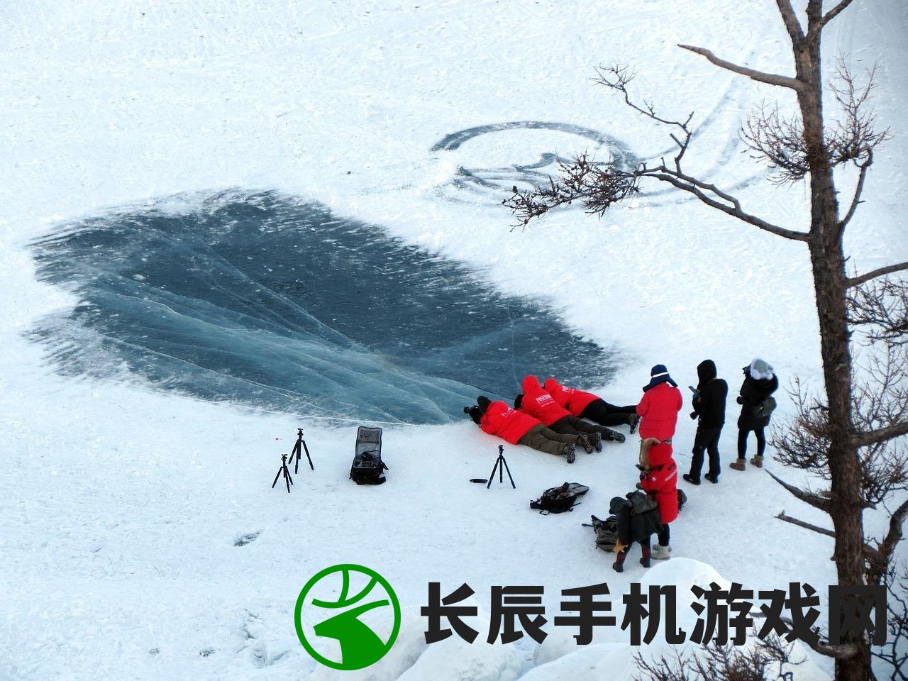 (无尽寒冬手游攻略)无尽寒冬手游，深度分析与玩家指南