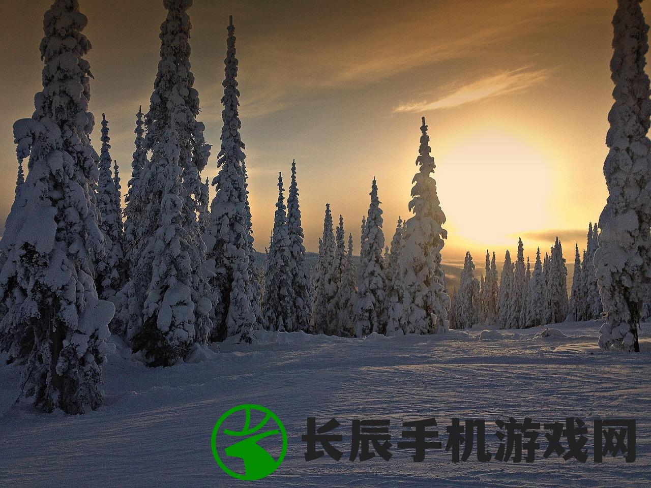 (最强炮塔冬季密林22关攻略视频)最强炮塔冬季密林第22关的挑战攻略与解析